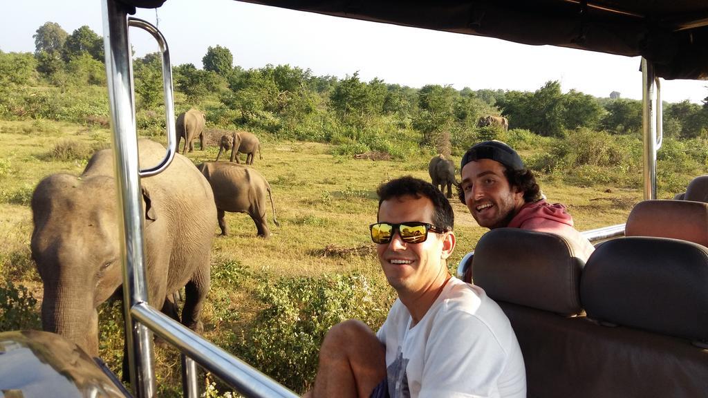 达瓦拉维 大象围栏旅行服务旅馆酒店 外观 照片